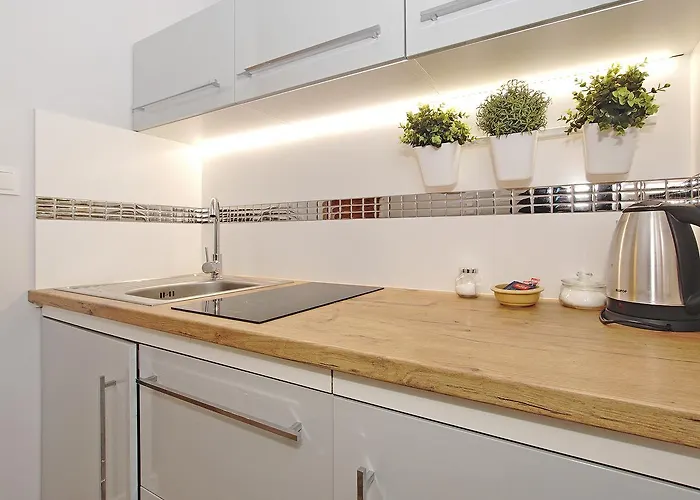 Apartman Starogdanski 6 *